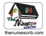 The Nurse Scribe
